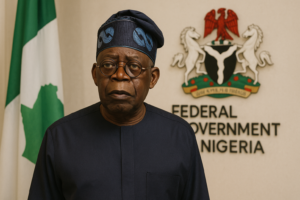 Tinubu’s reforms are changing the rules of business in Nigeria, but who is really paying the price?